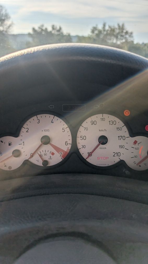 Peugeot 206 GTI trackday