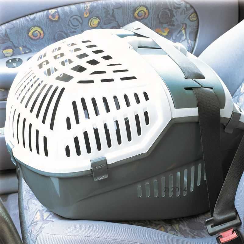 Transporter Nobby Avior