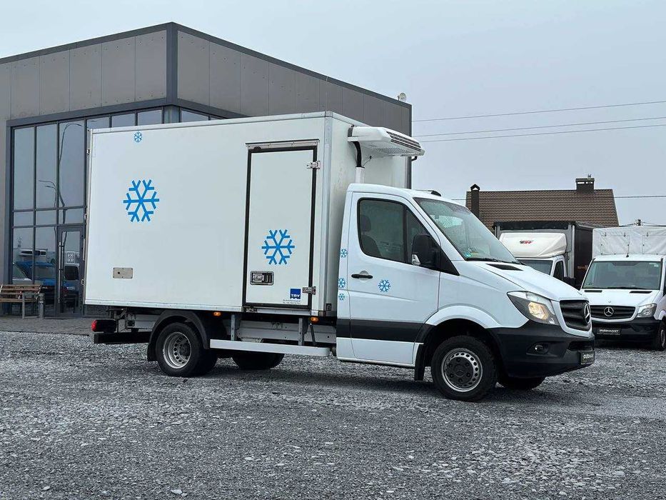 Mercedes-Benz Sprinter 2016p. Мясник