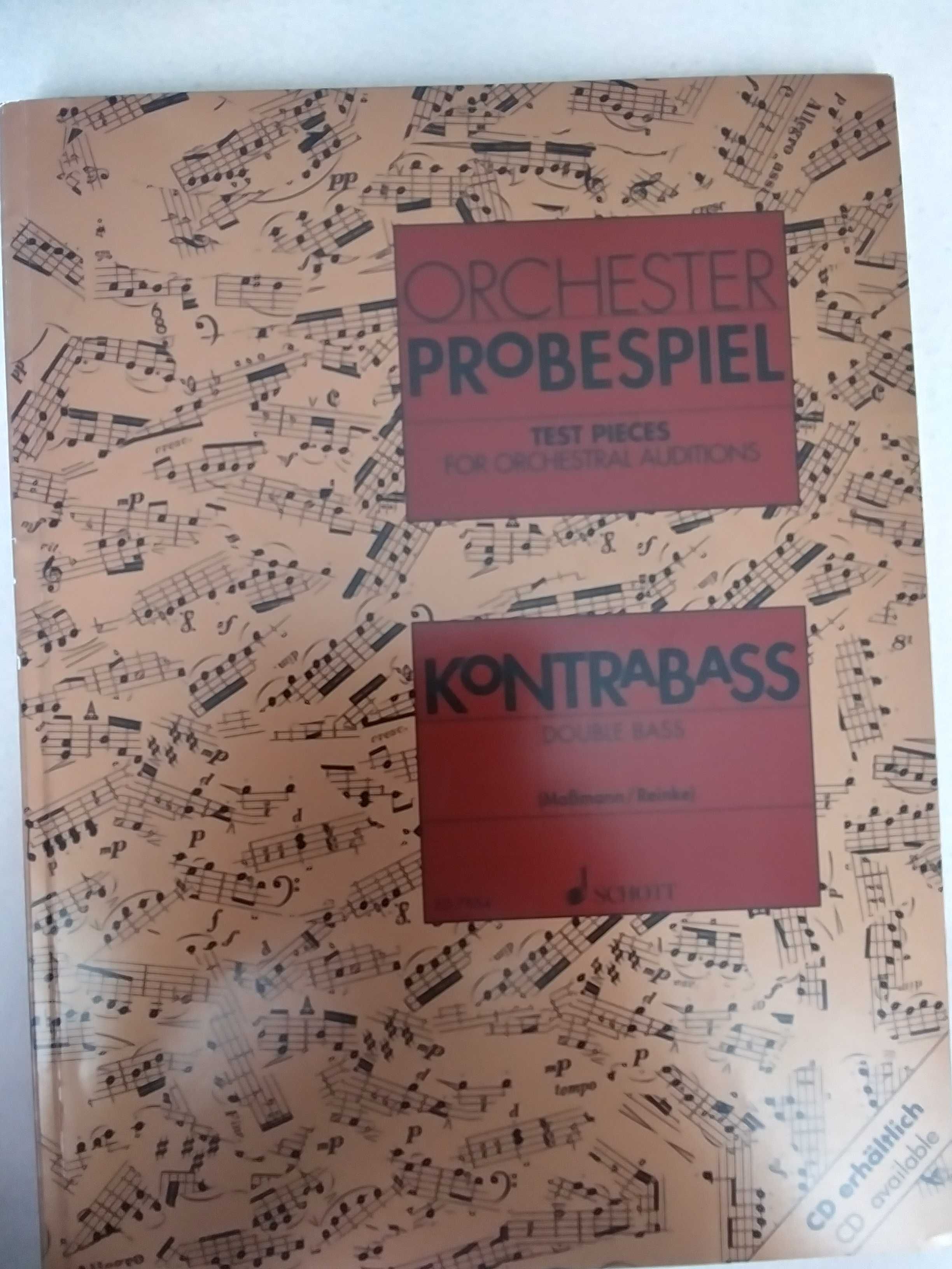 Orchester Probespiel Kontrabass