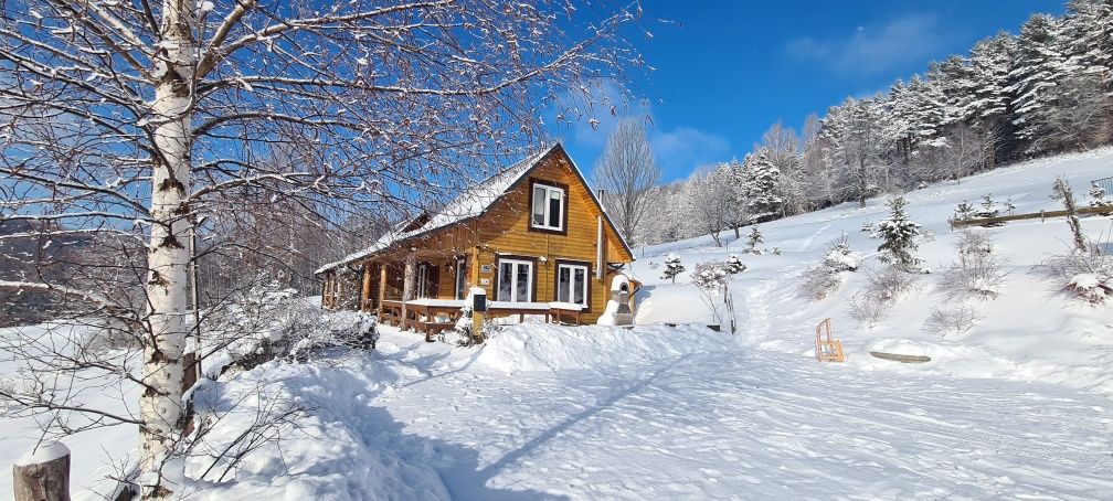 Domki,Ustrzyki Dolne ,pokoje,Bieszczady, domki z kominkiem- Zapraszamy