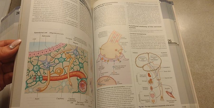 книга на английском davidson medicina практические принципы