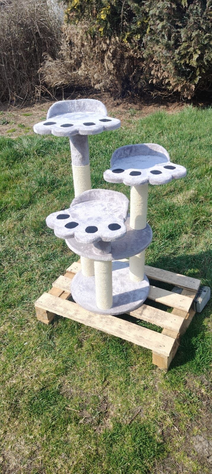 Bear Paw drapak dla kota