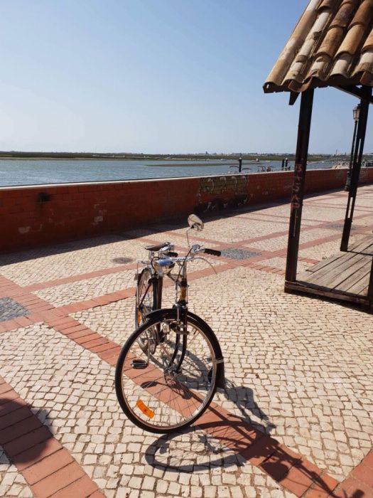 Bicicleta Pasteleira homem 1965