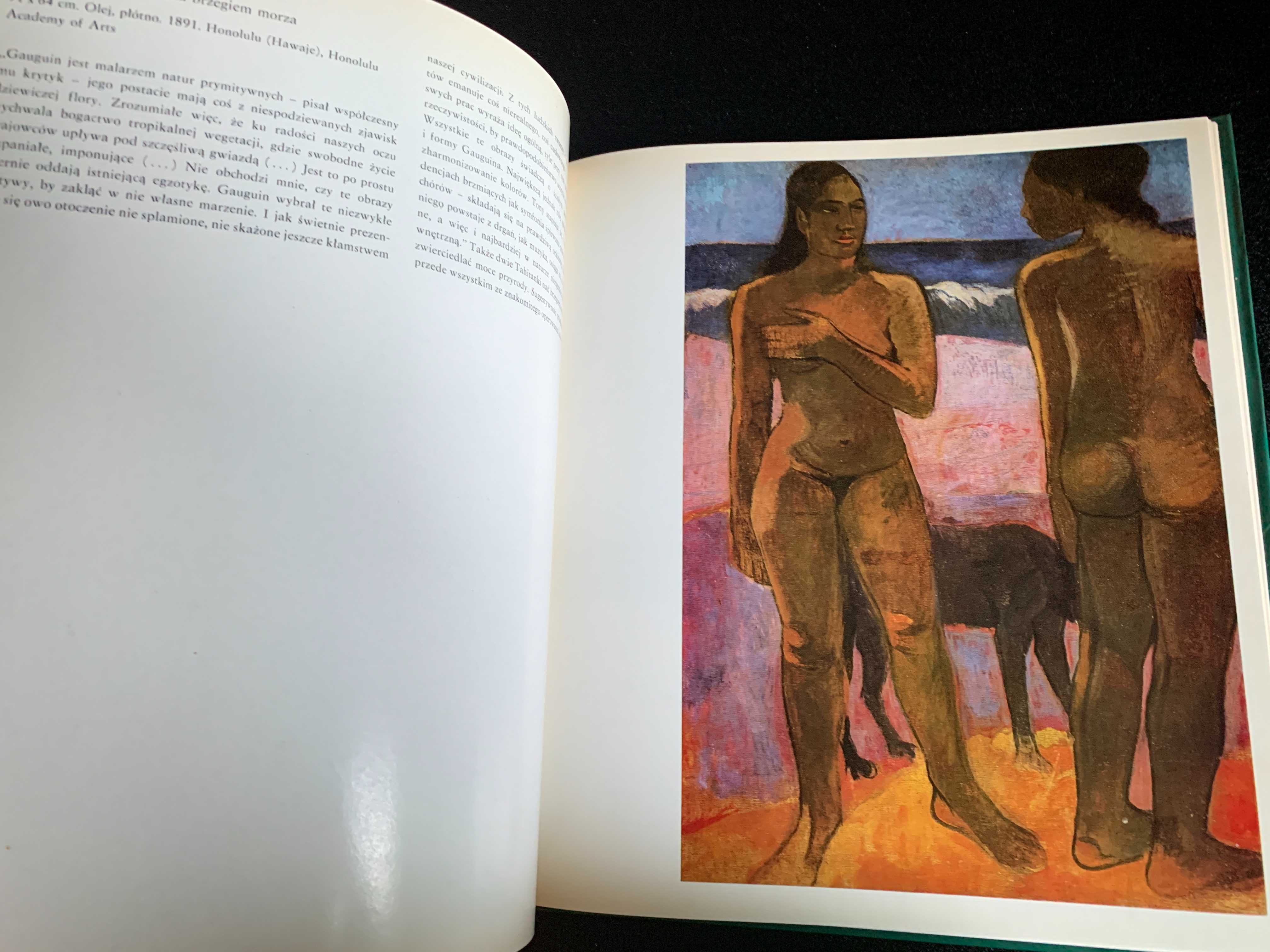 Paul Gauguin W kręgu sztuki Kuno Mittelstadt