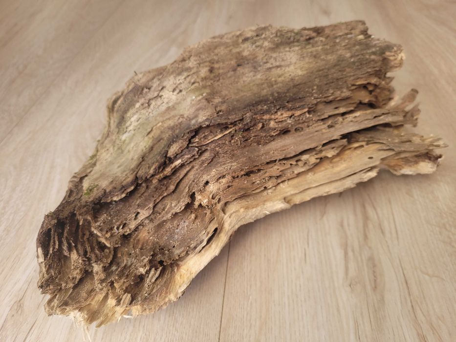 naturalny korzeń 30 / 15 cm do akwarium terrarium klatki gekon agama