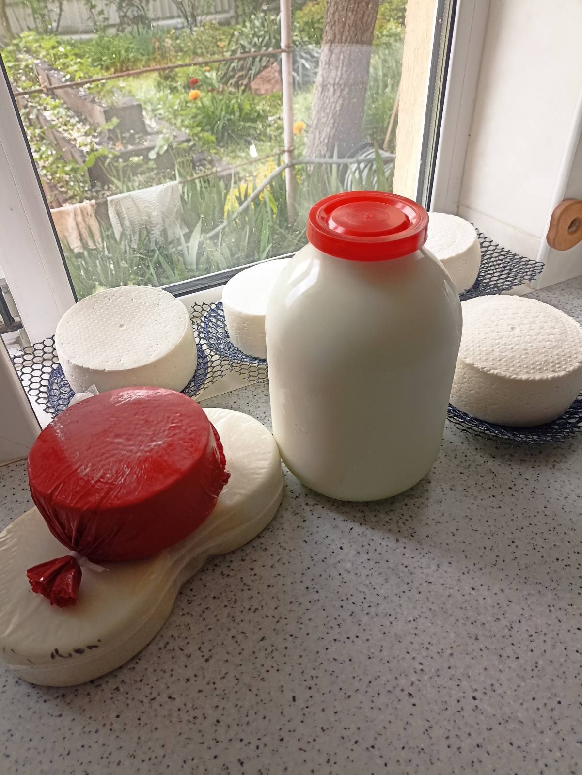 Пропонуємо  смачне та корисне козине молоко і молочні продукти