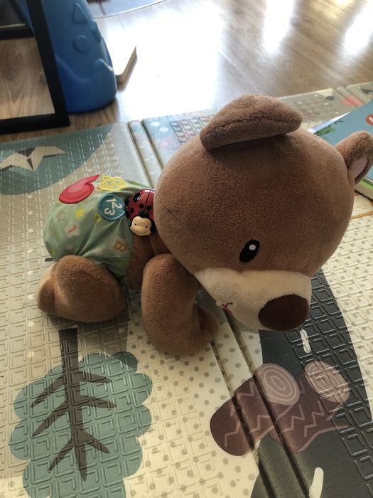 Miś tuptus raczkujacy