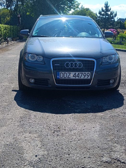 Audi A3 8P 2.0 TDI 170KM Quattro, Panorama
