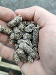 Wysłodki buraczane melasowane niemelasowane - cena brutto z  DOSTAWA