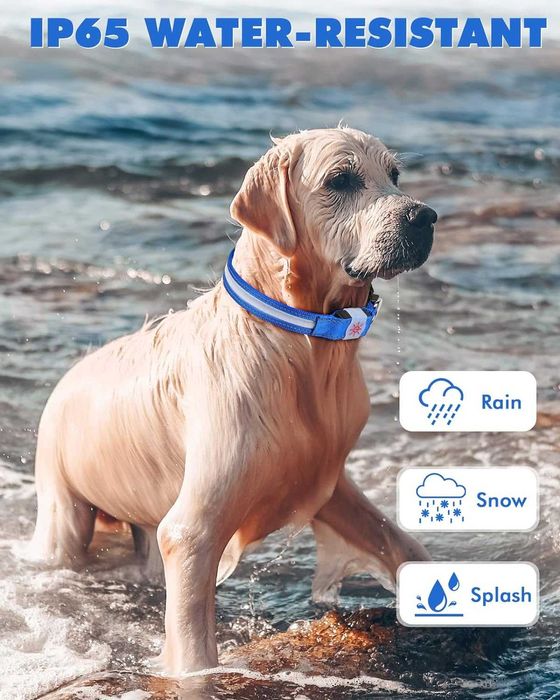 Nowa obroża dla psa/ obroże/ LED/ świecąca/ wodoodporna/ USB/ M !5255!