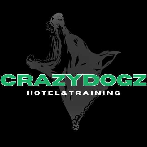 Hotel dla psa / Trening dla psa / Opieka nad psem / Całoroczna opieka