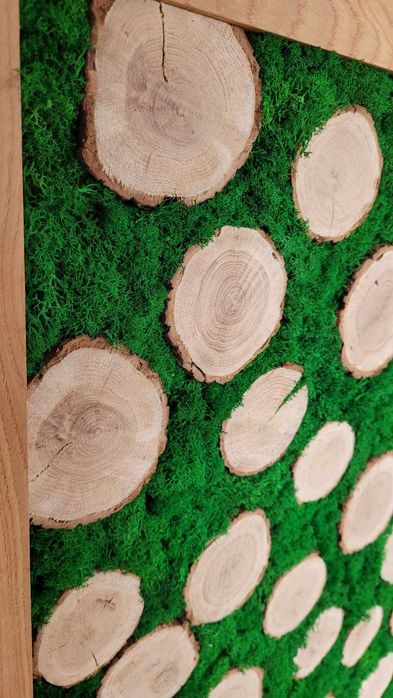 Duży obraz z mchu chrobotek, dębowa ramka, handmade, prezent