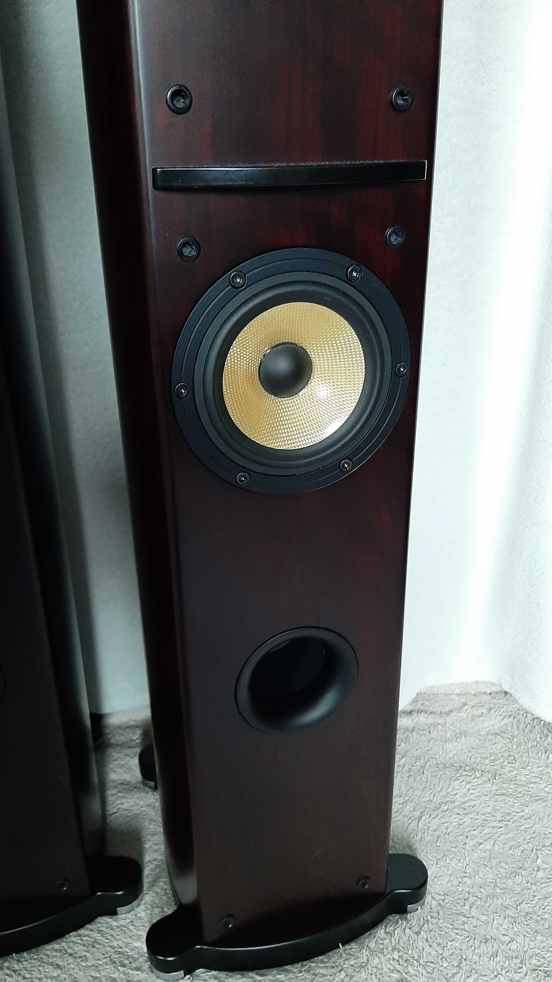 Kolumny głośnikowe Pioneer S-H810V