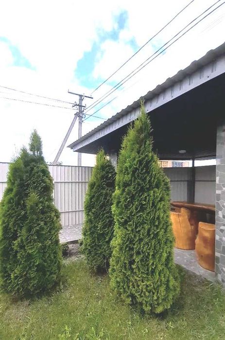 Без комісії, 110м², дві кімнати, два котли, три сотки, розтермінування