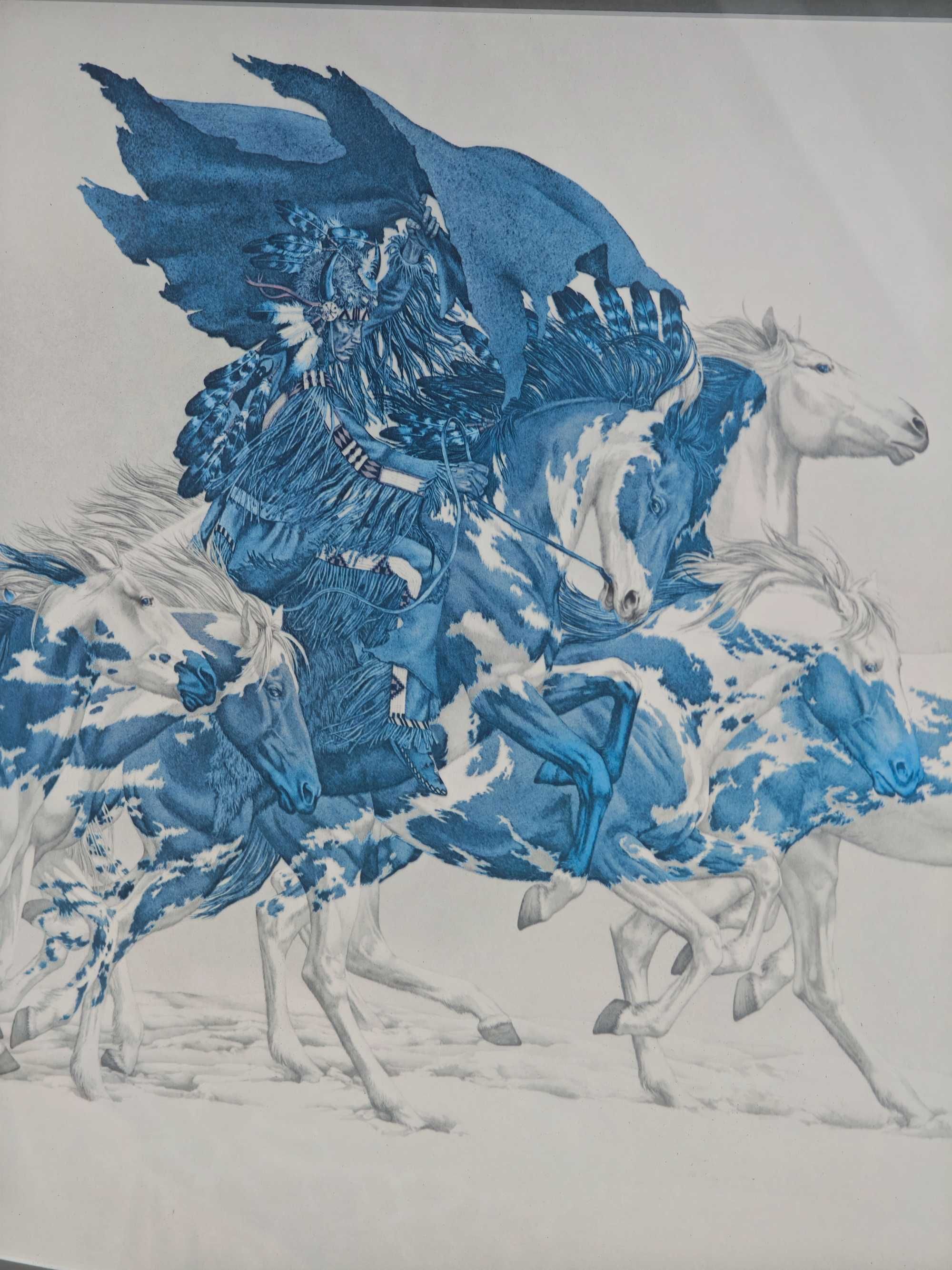 Lot Orla "Eagle's Flight" Bev Doolite Limitowana sygnowana litografia