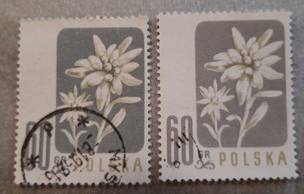 Znaczki pocztowe Polska Fi 878. Odmiany barwne.