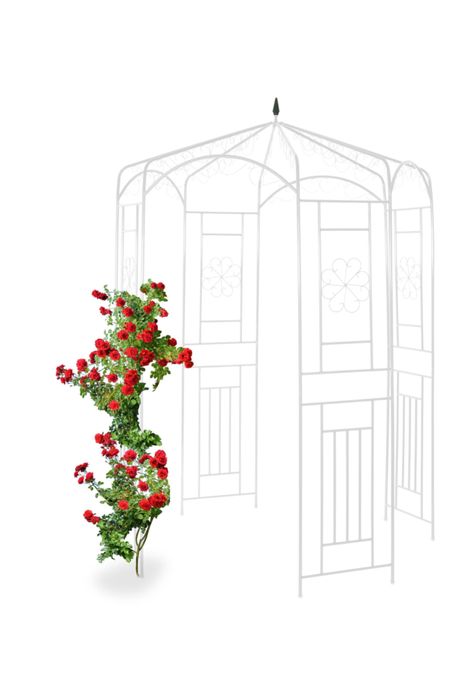 Nowa pergola ogrodowa w kolorze czarnym