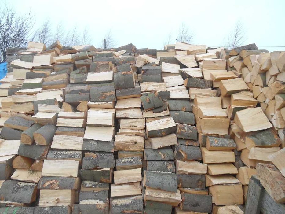 Drewno kominkowe sezonowane Wrocław