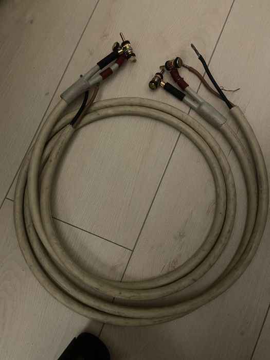 Monster cable acustik