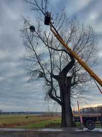 Pielęgnacja ogrodów,koszenie trawy,wycinka drzew