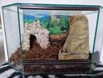 Sprzedam terrarium