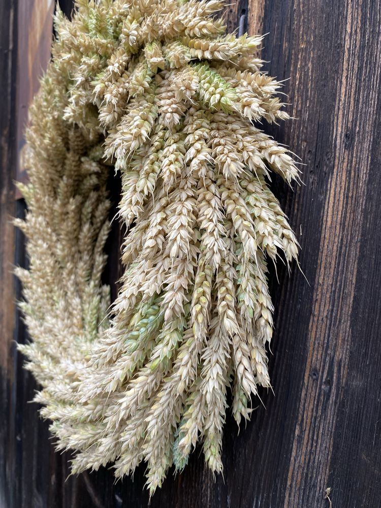 Wianek na drzwi ze zboża letni 40cm naturalny