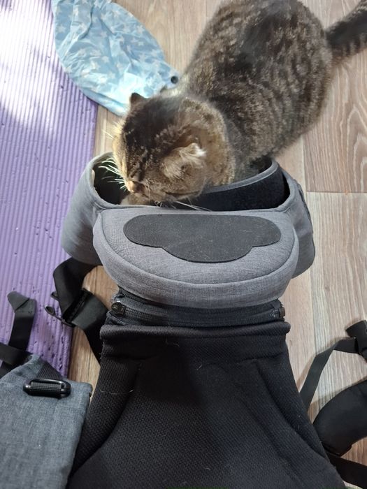 Хіпсіт Love&carry сірий