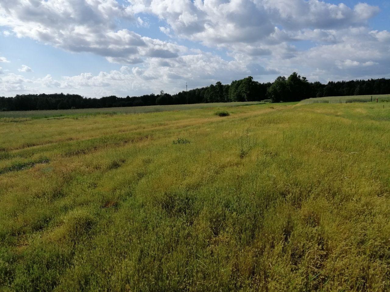 działka budowlana 0,933m²