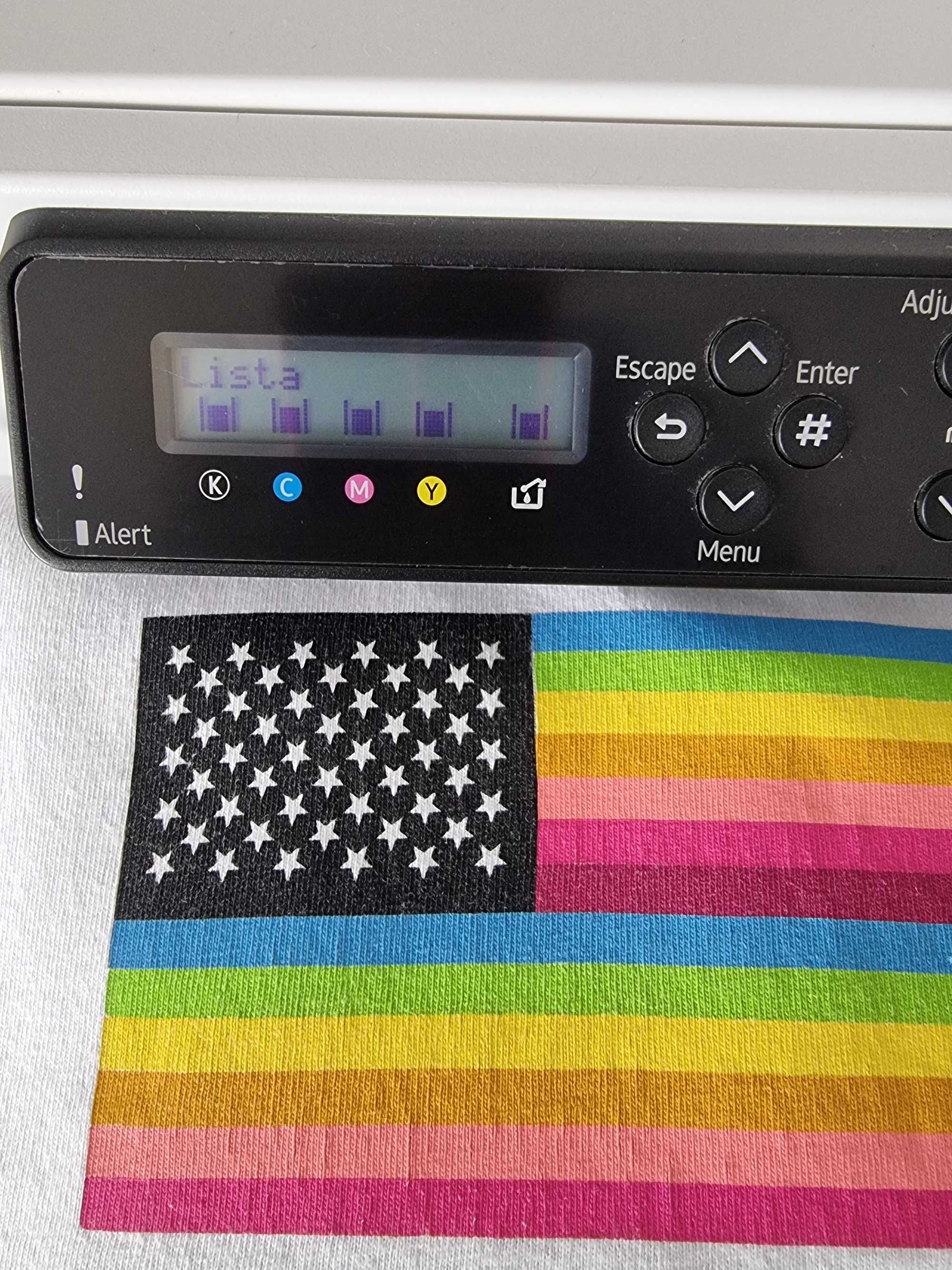 Impressora textil Ricoh R100