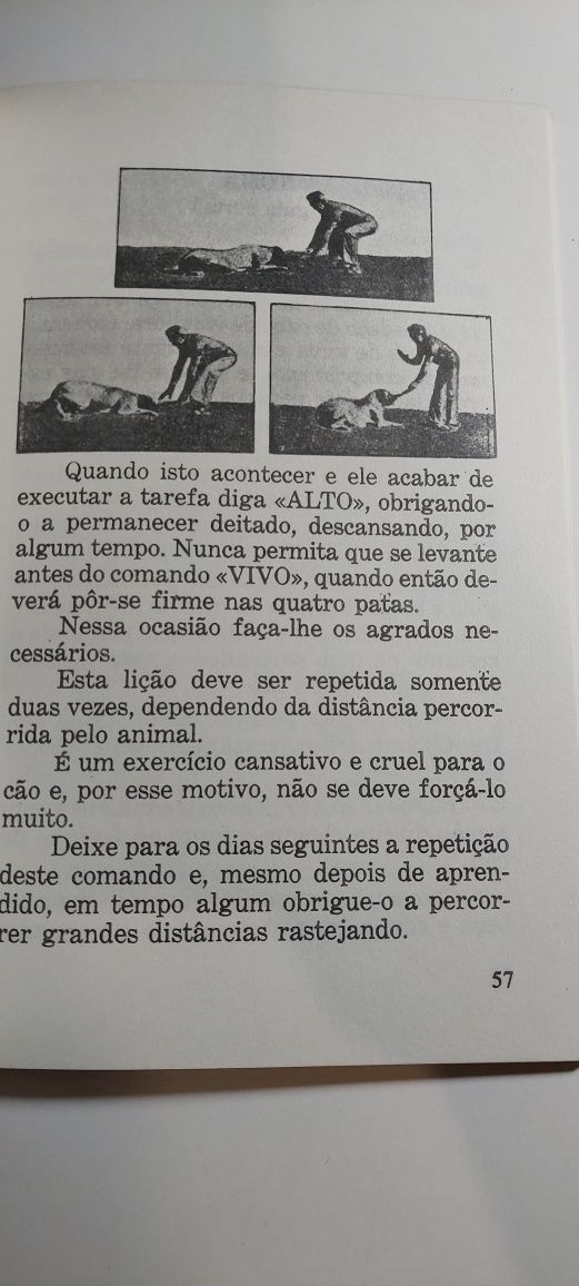 Adestramento de Cães - Renato A. dos Santos