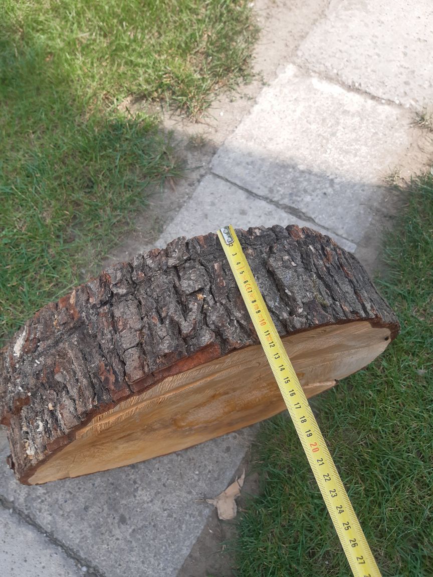 Plaster krążek drewna Olcha 42x11