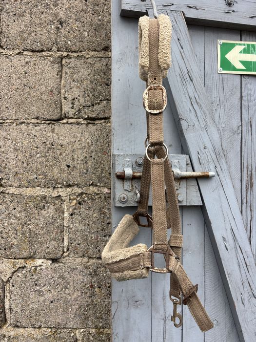 Kantar FULL do ciurania