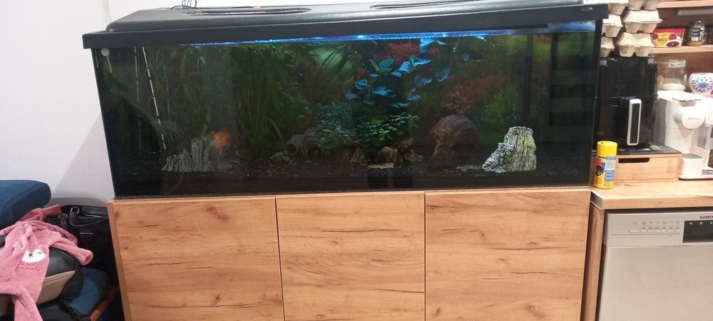 Akwarium 400 l z półka i filtrem