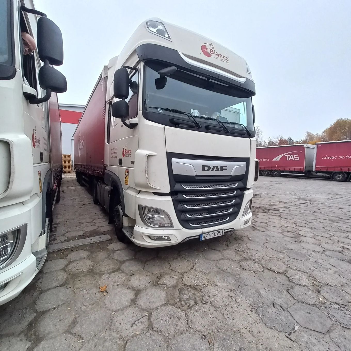 DAF DAF XF480  Daf Xf480