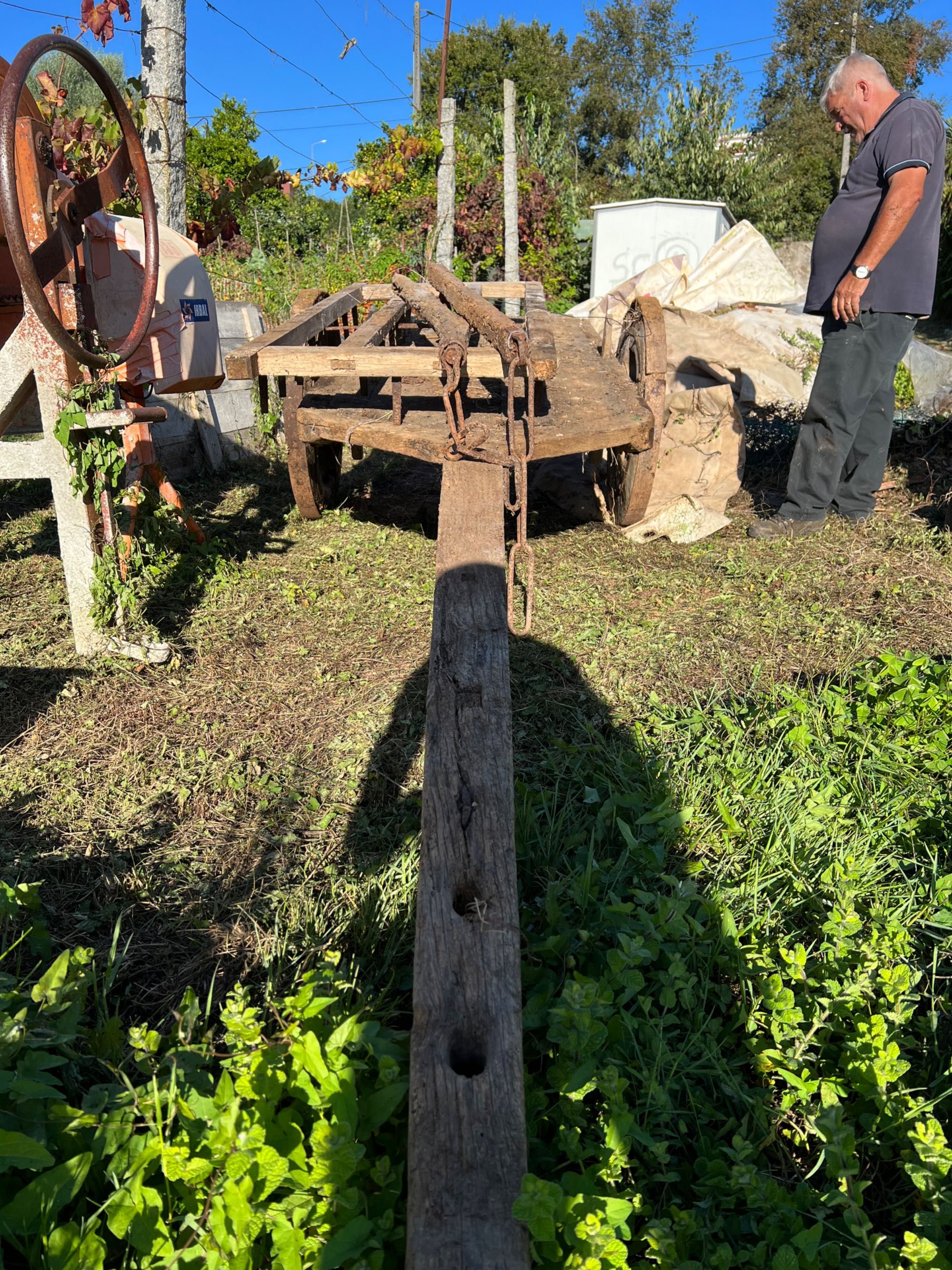 Carro de Bois Antigo + Grade