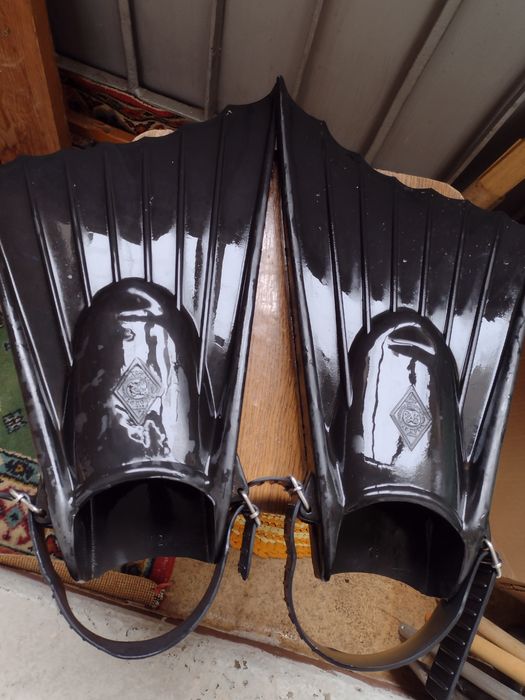 Ласти для плавання та дайвінгу