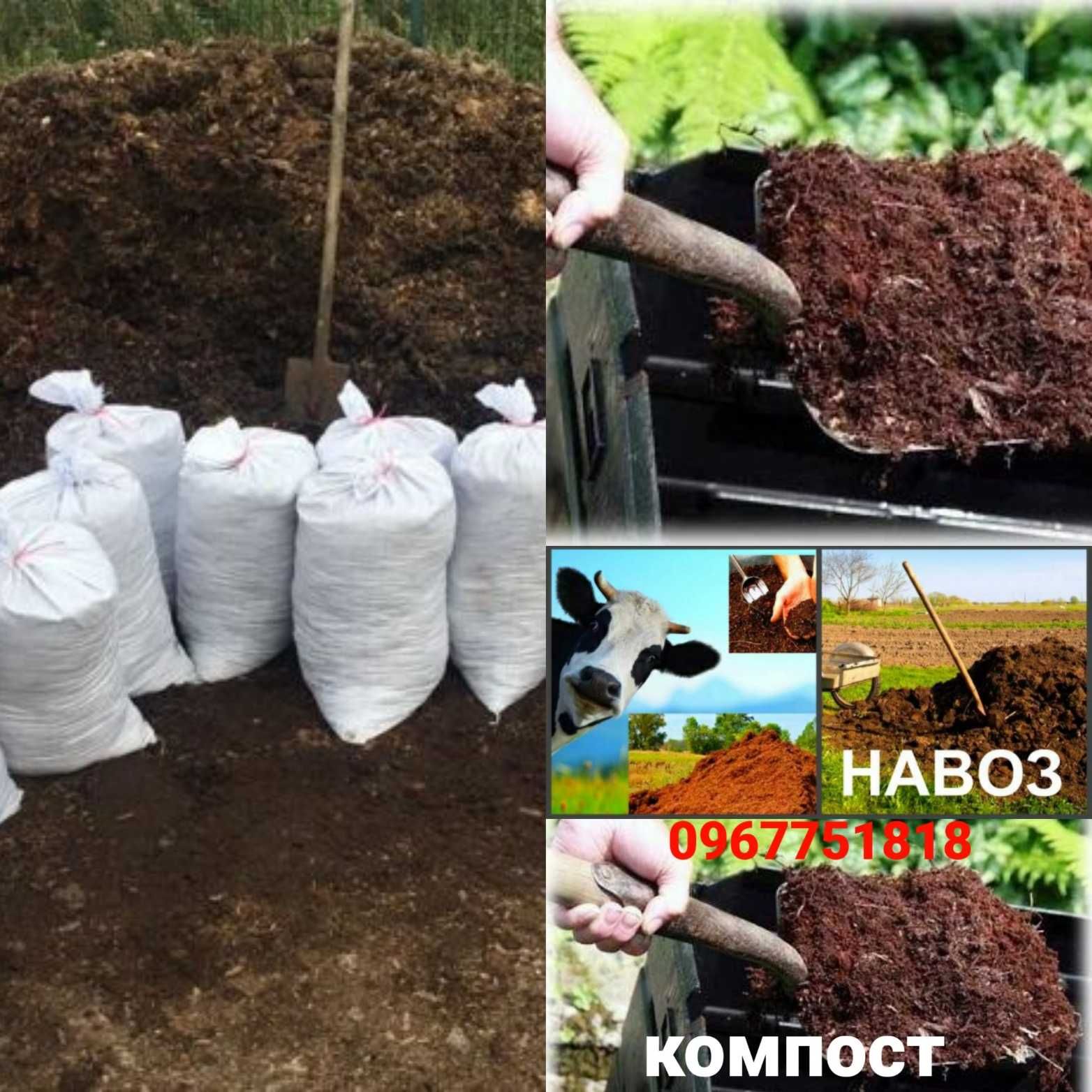 Сипець коровяк плодородний благородний чорнозем  для огорода та саду