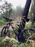 Bicileta BTT - KTM Score Prestige - Carbono / Suspensão total