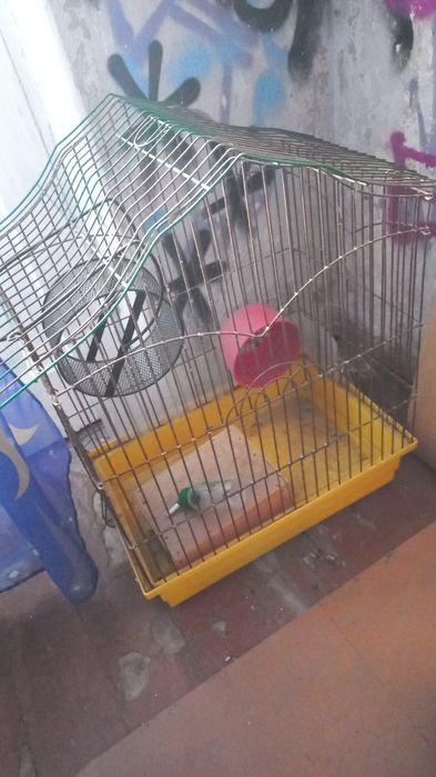Клетка большая шиншила попугай