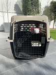 Caixa de transporte para cão porte medio