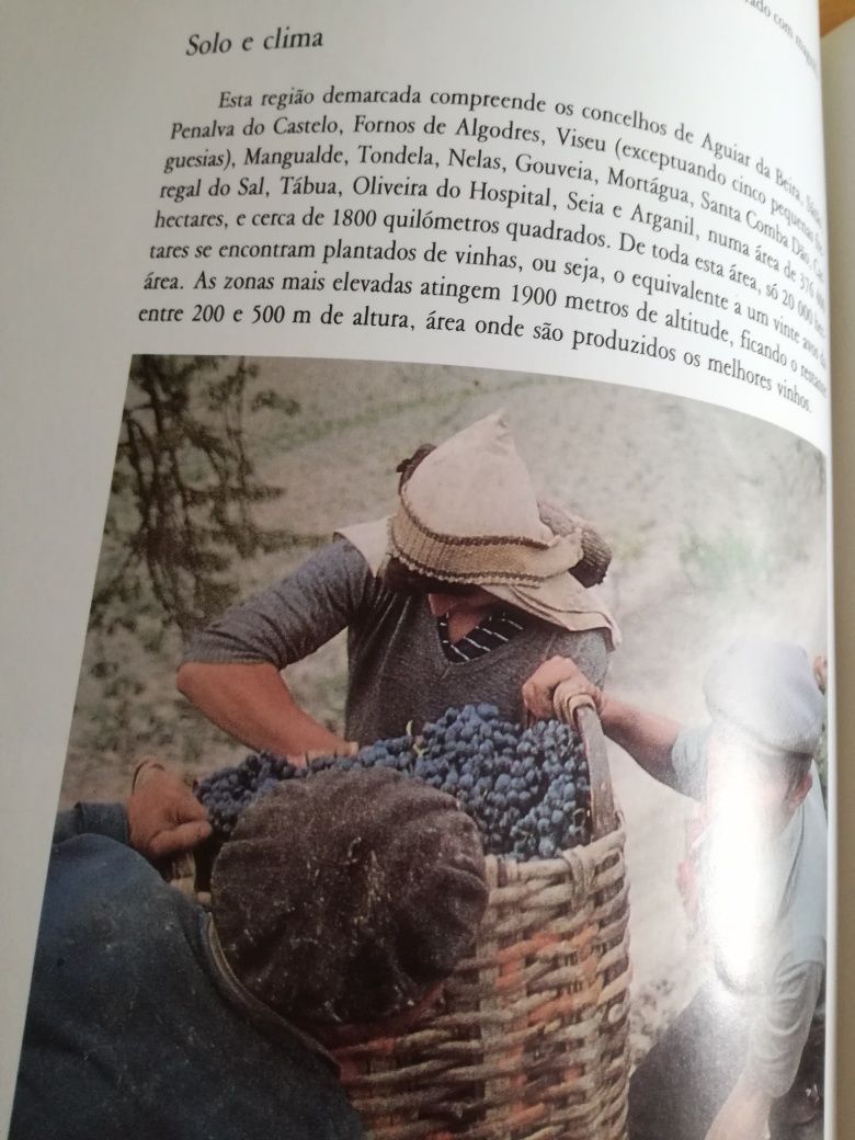 Livro vintage "Vinhos de Portugal" de Jan Read 1989