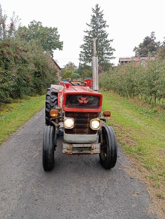 Massey Ferguson 152 mkIII  Sadowniczy
