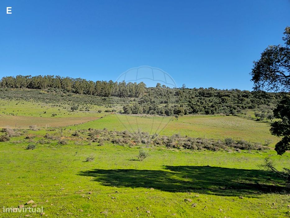 Terreno  para venda
