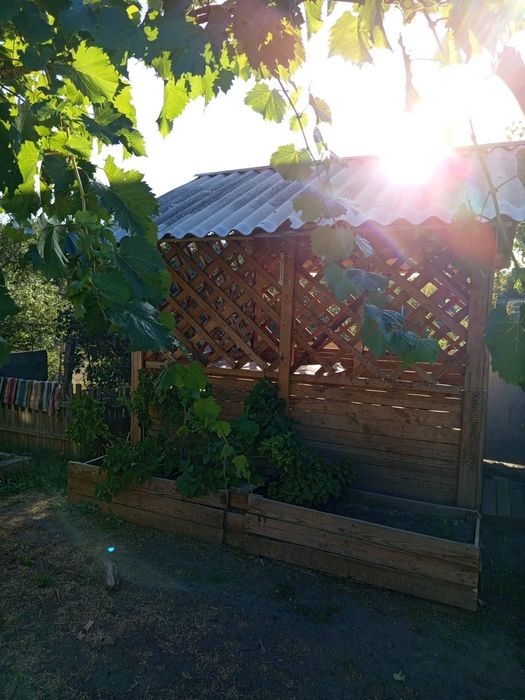 Продам будинок с.Богданівка