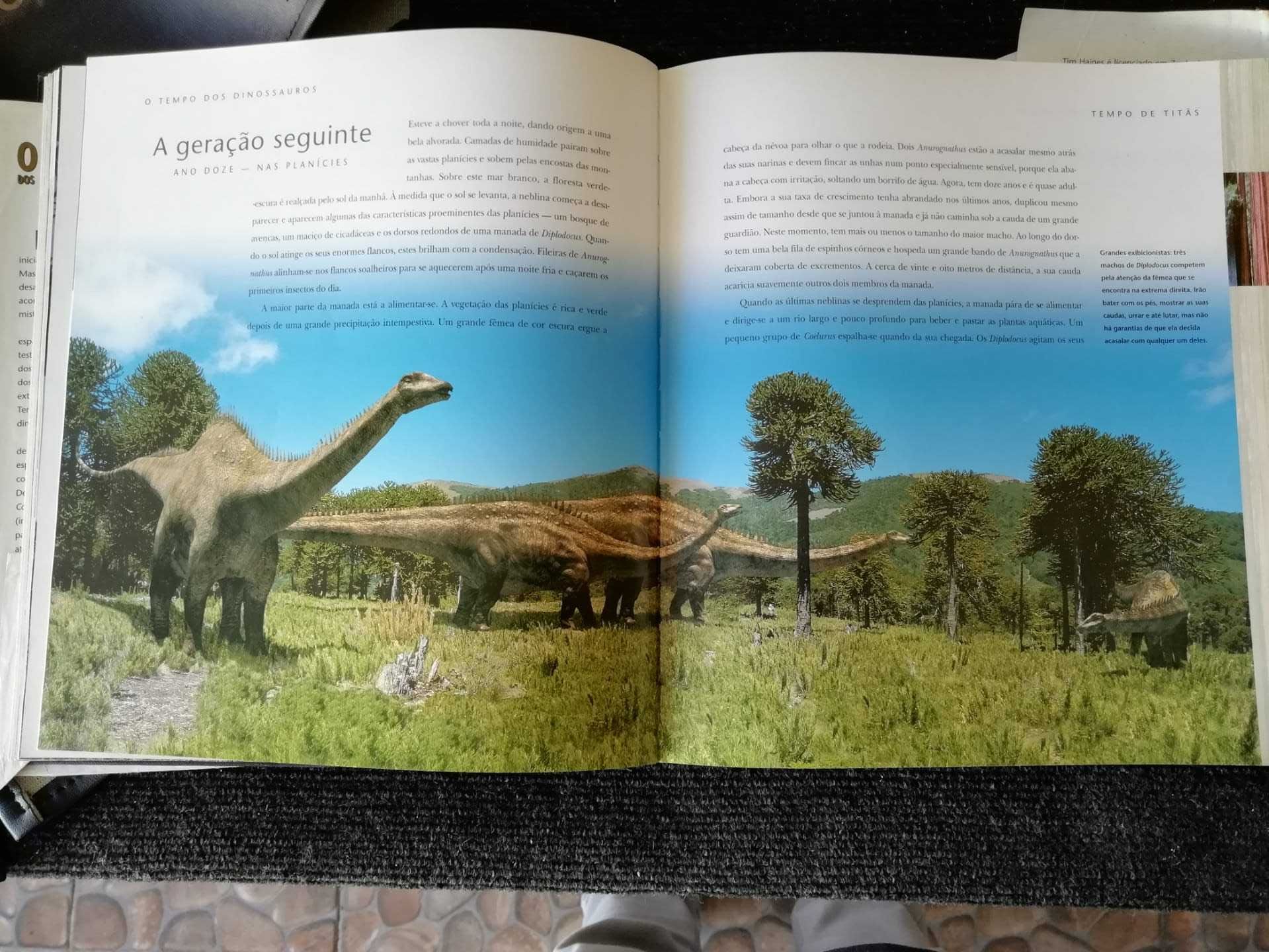 Grande e Bonito Livro O Tempo dos Dinossauros C Figuras Em Português