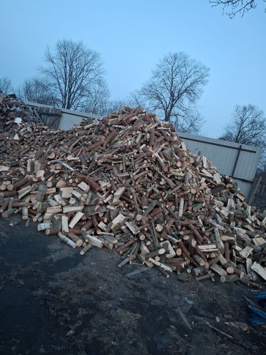 Sprzedam drzewo na opał, drewno, opałowe