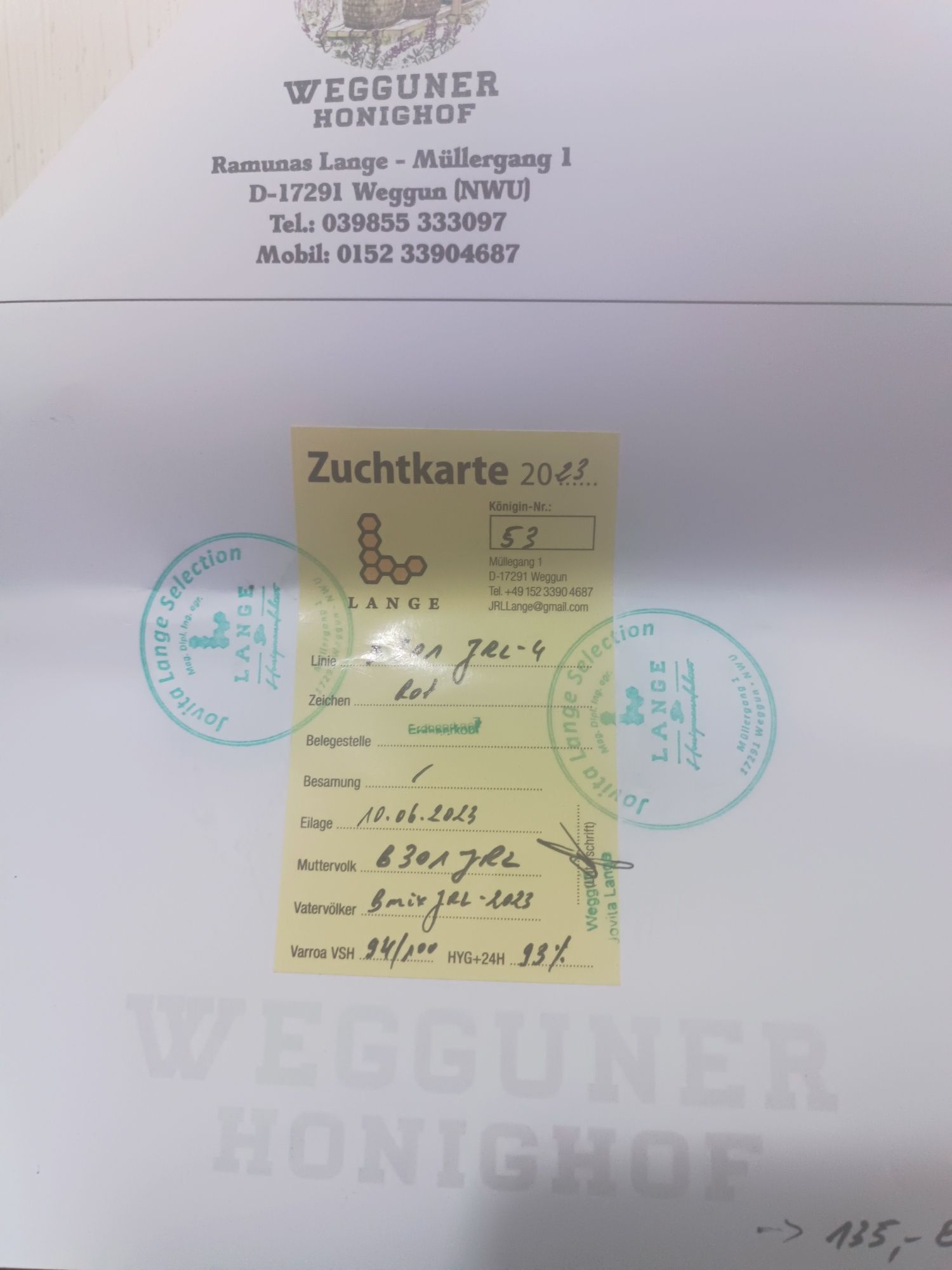 Matki pszczele Buckfast 301 unasiennione.. Wysyłka 28, 29, 30 lipca
