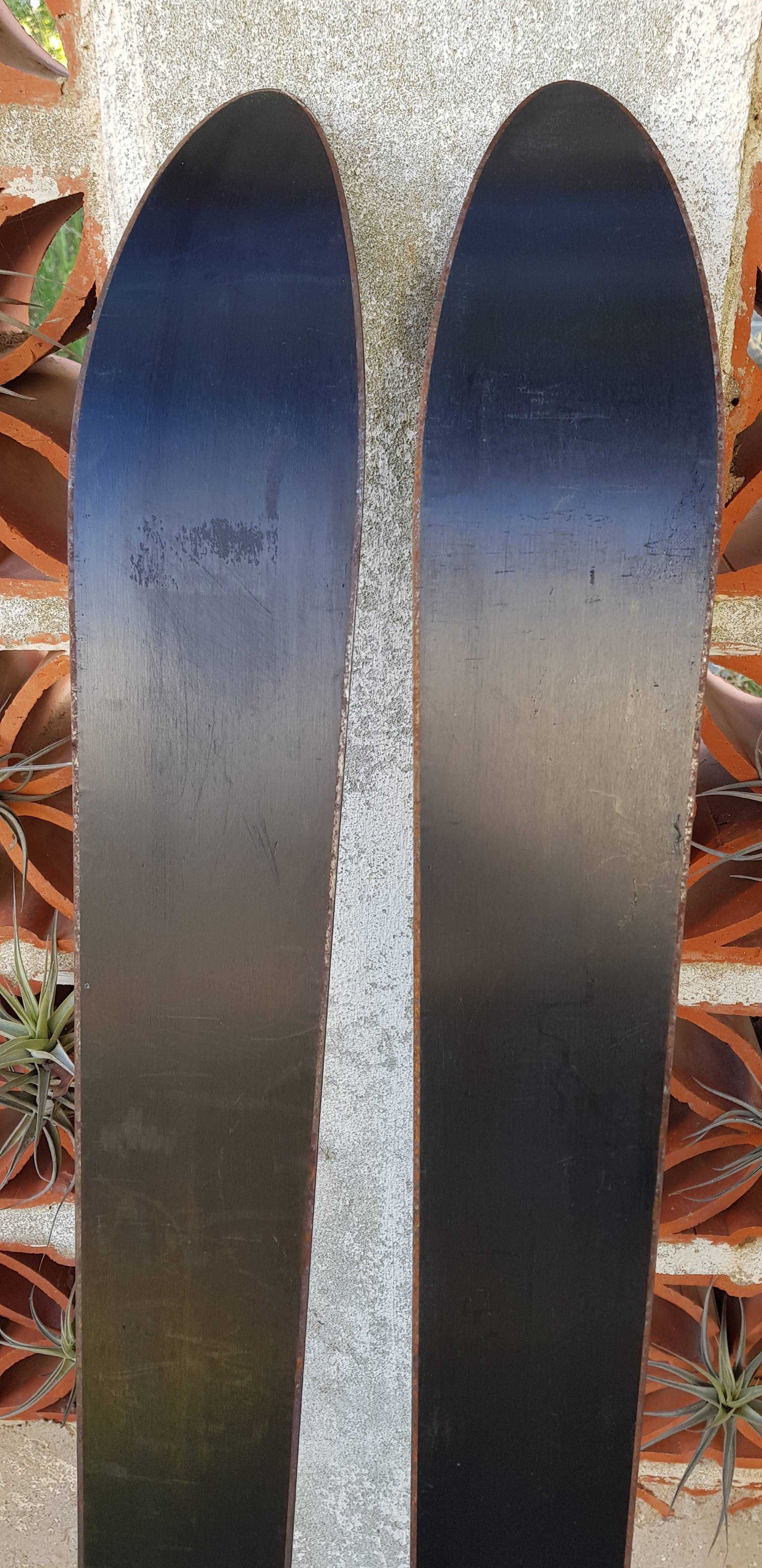 Skis Carve 22 - par nunca usado
