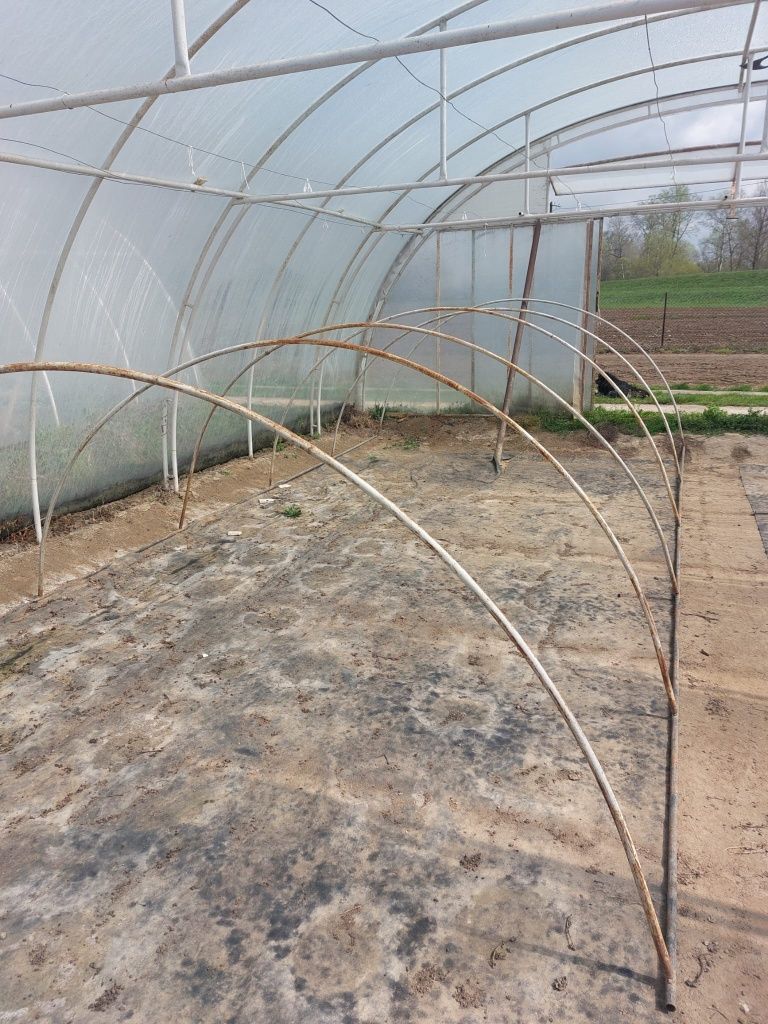 Tunele metalowe 26m*3.2m do chryzantem kwiatów i upraw